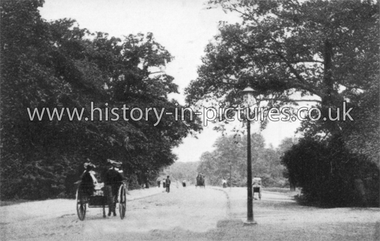 Whipps Cross Road, Leytonstone, London. c.1910.